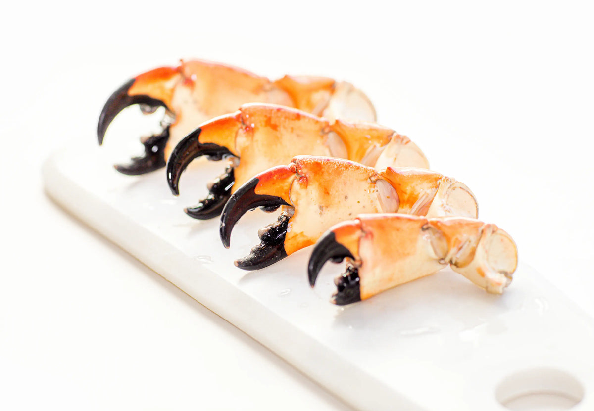 Fresh Stone Crab Claws