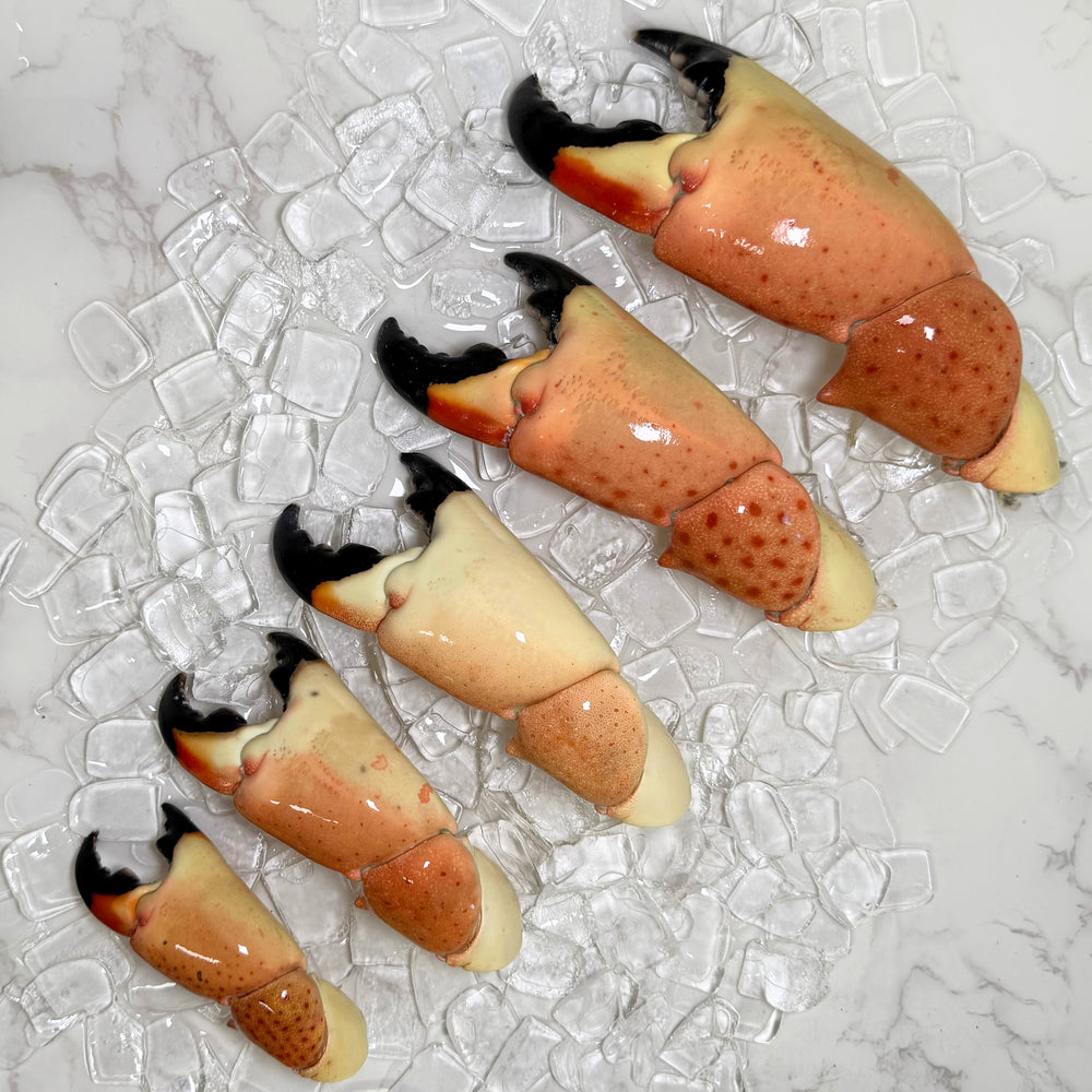 Image of Jumbo Stone Crab Claws