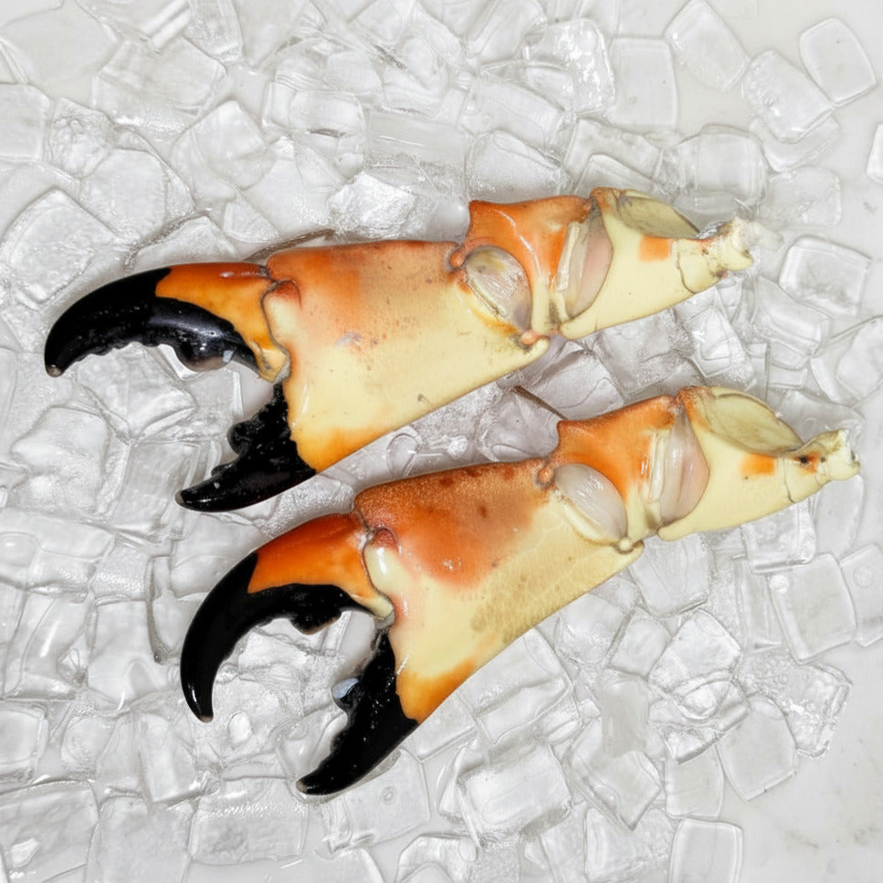 Image of Colossal Stone Crab Claws