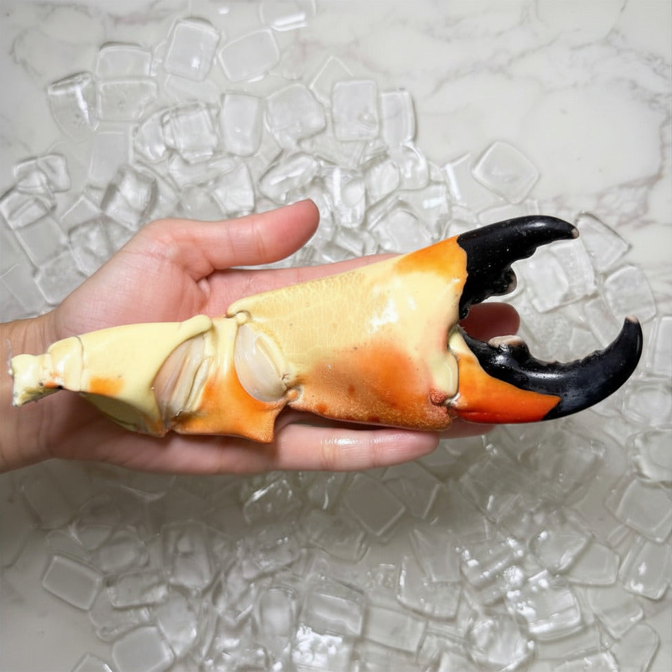 Image of Colossal Stone Crab Claws