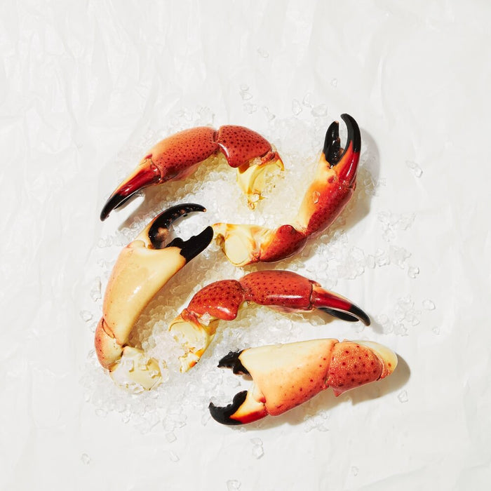 Image for Jumbo Stone Crab Claws